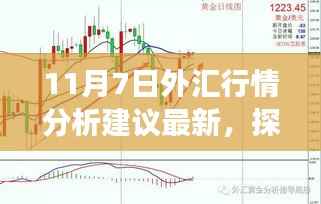 11月7日外汇行情最新解析与探索自然美景之旅,市场宁静与远方风景的魅力