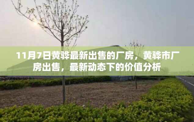 11月7日黄骅最新厂房出售动态与价值分析