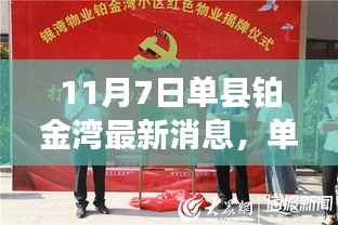 聚焦单县铂金湾,最新动态与要闻尽在11月7日
