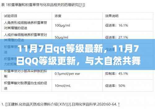 11月7日QQ等级更新,启程心灵之旅,与大自然共舞的新征程