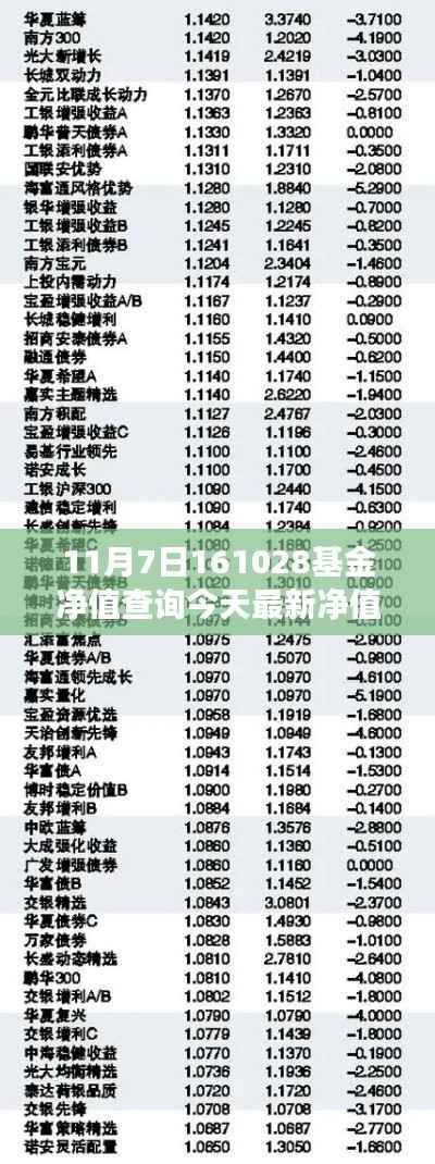 揭秘小巷深处的宝藏基金净值与美食奇缘——今日最新净值查询(基金代码,161028)