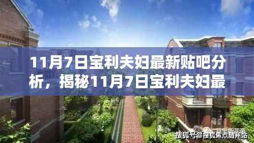 揭秘宝利夫妇最新贴吧动向,深度分析与热议(11月7日更新)