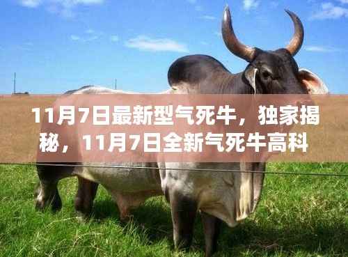 独家揭秘,全新气死牛高科技产品震撼登场,颠覆想象与体验!