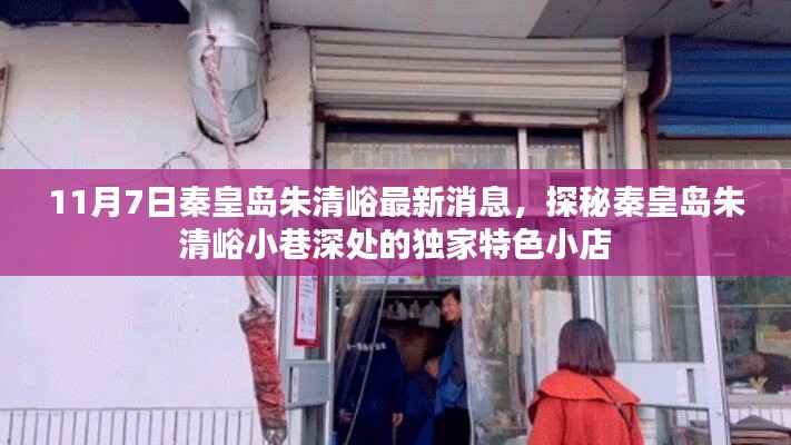 探秘秦皇岛朱清峪小巷深处的特色小店,最新消息揭秘日独家体验之旅(11月7日)