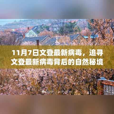 风驰电掣 第11页