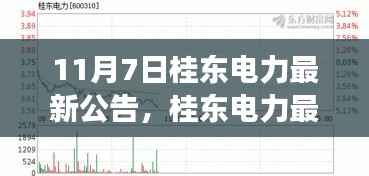 桂东电力最新公告解析,产品特性、用户体验与市场竞争力深度评测
