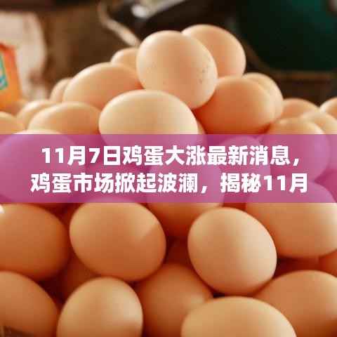 揭秘,鸡蛋市场掀起波澜背后的故事——11月7日鸡蛋大涨最新消息分析