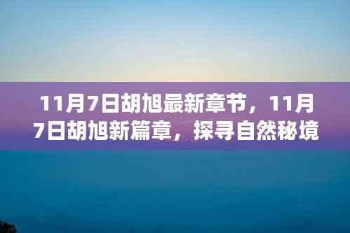 探寻自然秘境,胡旭最新篇章,重拾内心的宁静与平和(11月7日最新更新)