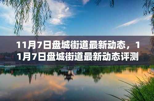 11月7日盘城街道最新动态深度解析与评测