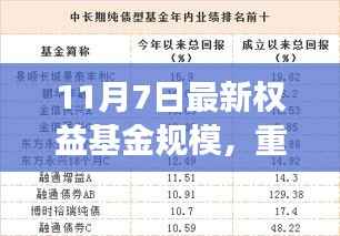 揭秘11月7日最新权益基金规模,洞悉市场新动态