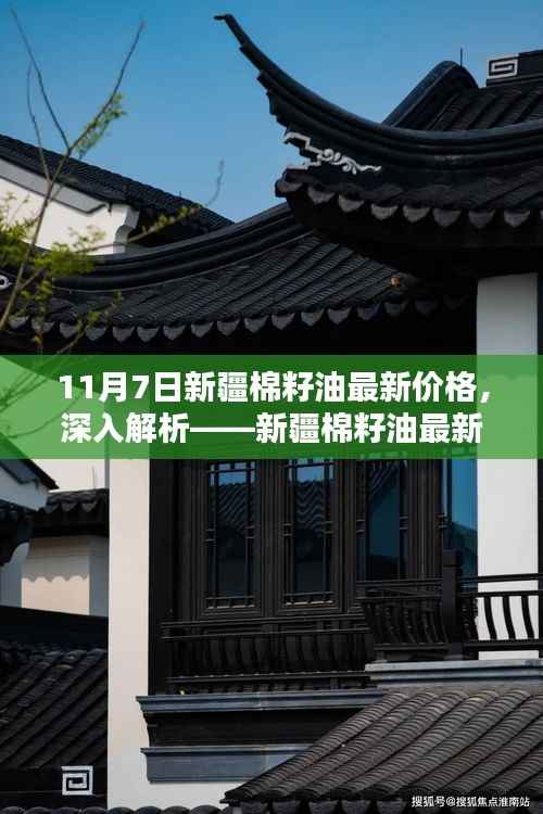 新疆棉籽油最新价格深度解析（11月7日版概览）