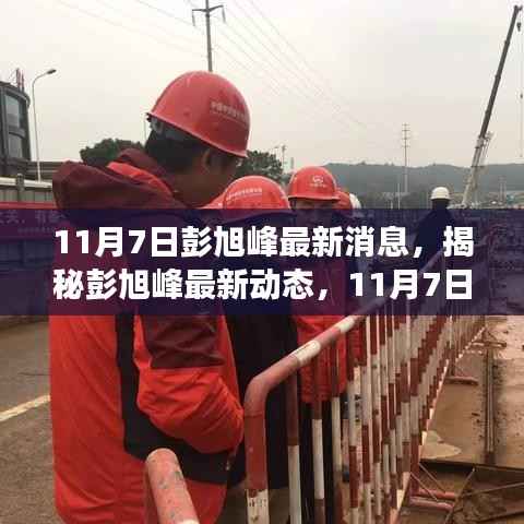 彭旭峰最新动态揭秘,11月7日重磅消息曝光