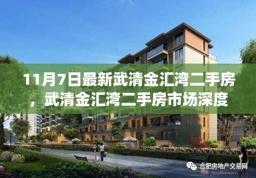 武清金汇湾二手房市场深度解析,背景、现状与地位(最新情报)