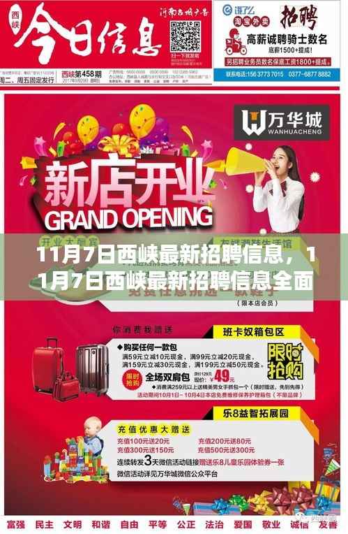 11月7日西峡最新招聘信息全面解析与评测