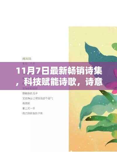 精品展示 第383页