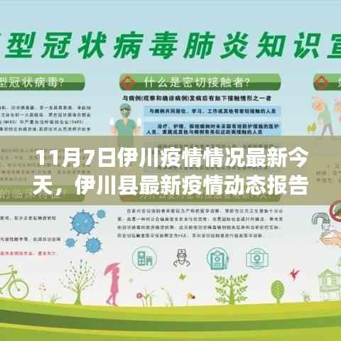 11月7日伊川县疫情最新动态及分析报告