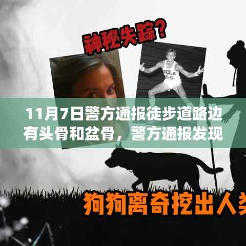徒步道路发现头骨与盆骨,警方通报事件深度解析