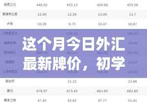 本月外汇最新牌价概览,初学者与进阶用户的查询步骤指南