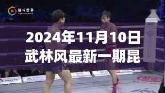 深度解读与观点阐述,武林风最新一期昆仑决 2024年11月10日战报