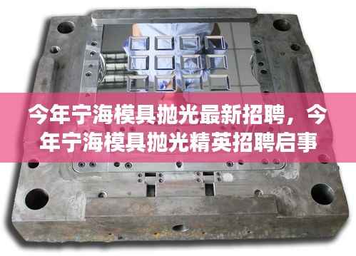 宁海模具抛光精英招聘启事,探寻业界翘楚,共铸辉煌未来之路