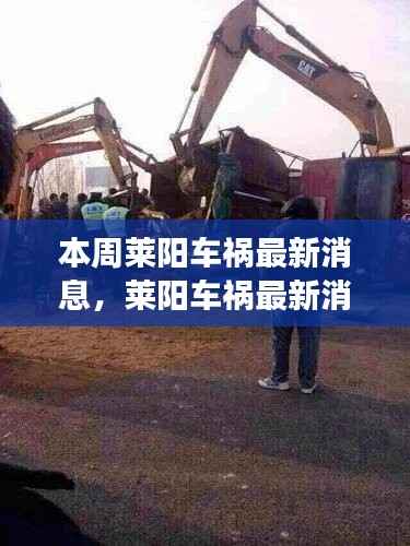 莱阳车祸最新消息解析,事故信息获取与事件进展理解指南(初学者与进阶用户必读)