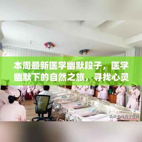 医学幽默段子之旅,心灵港湾的宁静探索