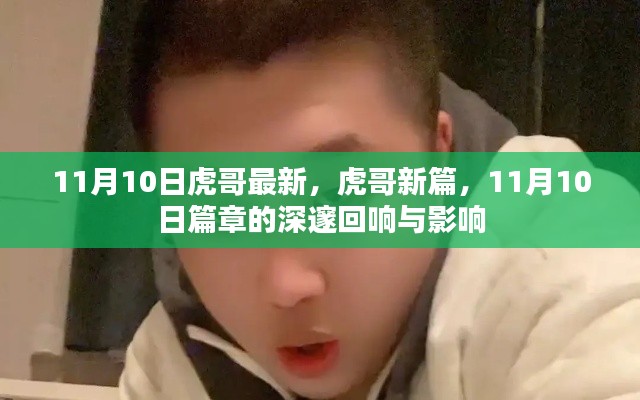 11月10日虎哥新篇章,回响与影响的深邃探索