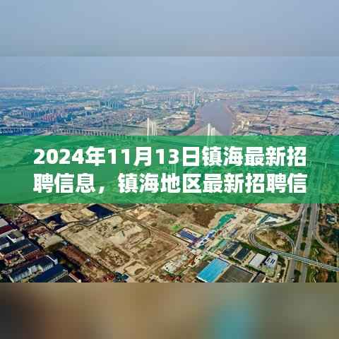 镇海地区最新招聘信息深度解析与用户体验分析(2024年)