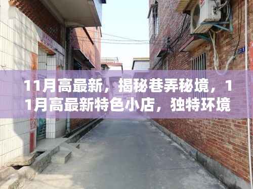 揭秘巷弄秘境,探索最新特色小店,独特环境等你来发现——11月高最新指南