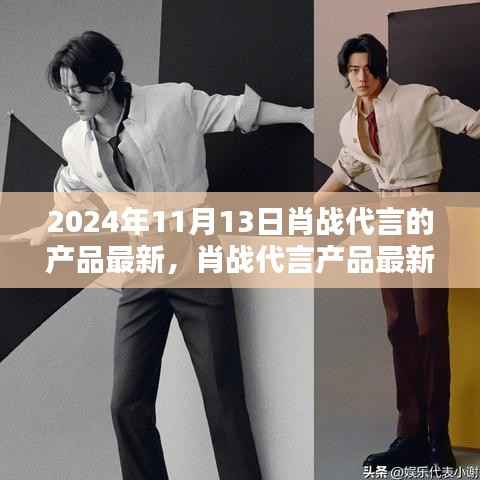 肖战代言产品最新动态揭秘,聚焦2024年11月13日的更新与亮点