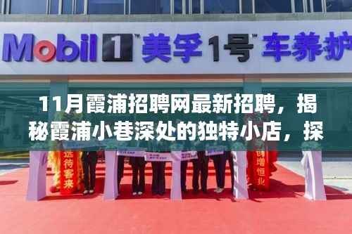 霞浦招聘网最新动态,小巷深处的独特小店与十一月招聘信息及美食探索