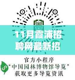 霞浦招聘网最新动态,小巷深处的独特小店与十一月招聘信息及美食探索