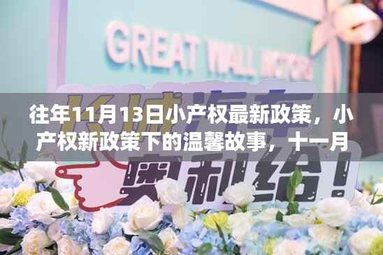 小产权新政策下的奇遇与温馨故事,历年11月13日的政策变迁与体验