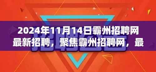 霸州招聘网最新动态,多元观点下的招聘趋势探讨(2024年11月14日)