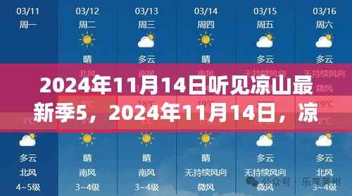 凉山深处的暖心日常与奇妙友谊,听见凉山最新季5(2024年11月14日)