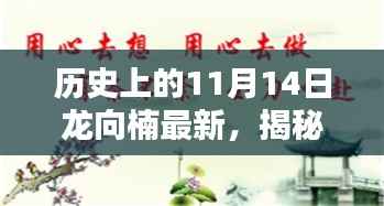 探寻传奇人物龙向楠,历史上的11月14日揭秘最新进展