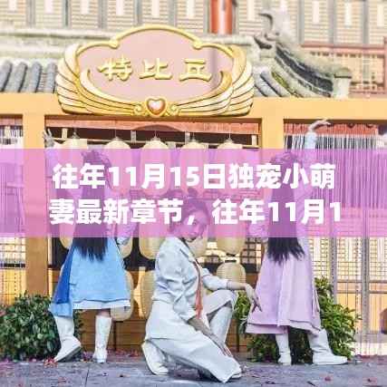 往年11月15日独宠小萌妻的成长与变化,智慧与力量的舞蹈