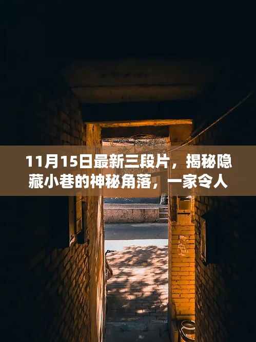 11月15日最新三段片,揭秘隐藏小巷的神秘角落,一家令人陶醉的11月15日最新三段片特色小店