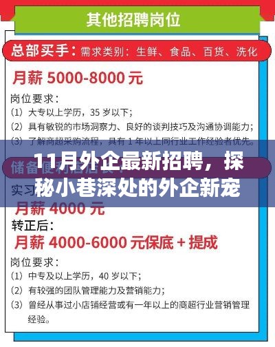 探秘外企新宠,十一月招聘热潮中的独特小店之旅