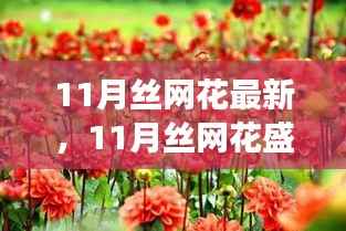 11月丝网花盛开,变化中的学习之旅与自信成就感的绽放时刻