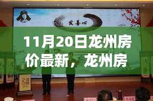龙州最新房价动态,学习变化的力量,成就梦想的舞台,积极正能量共舞