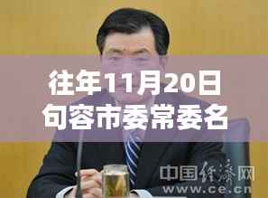 往年11月20日句容市委常委名单最新详解,查询步骤与指南