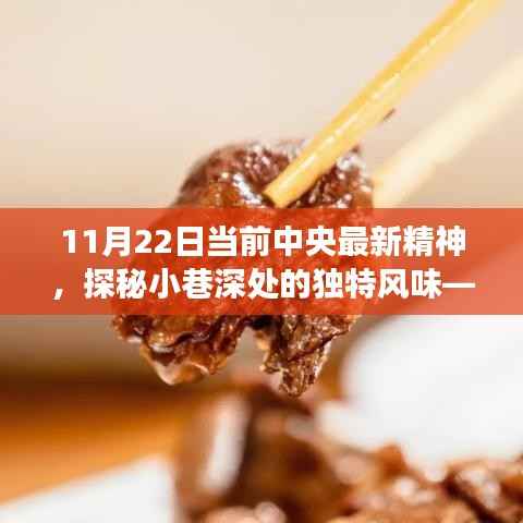 11月22日当前中央最新精神,探秘小巷深处的独特风味——今日中央精神下的隐秘美食宝藏