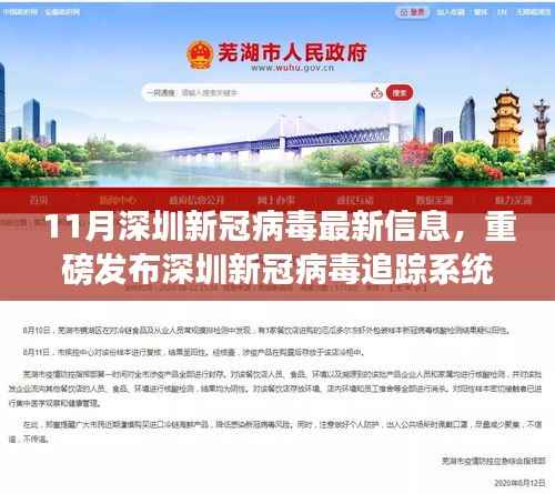 目不转睛 第5页