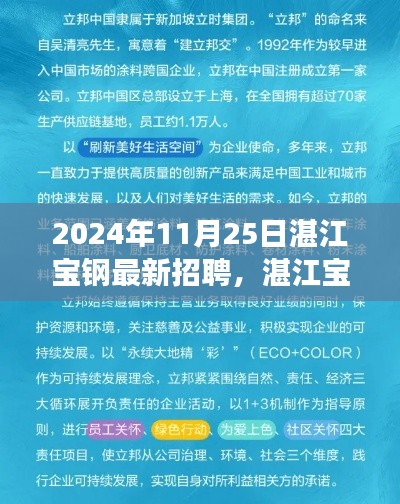 湛江宝钢招聘之旅,探寻自然美景,寻找内心的宁静与平和