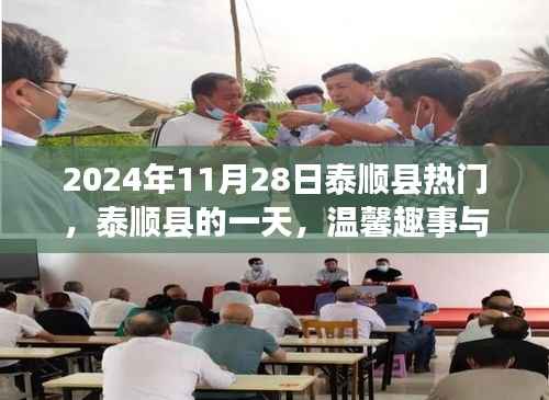 2024年11月28日泰顺县热门,泰顺县的一天,温馨趣事与深厚友情