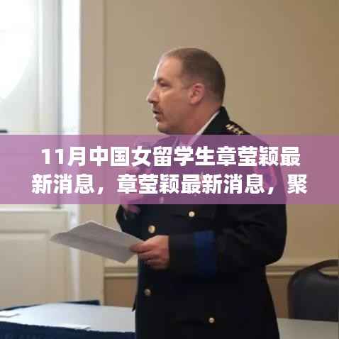 章莹颖最新消息揭秘,聚焦关注与多元解读