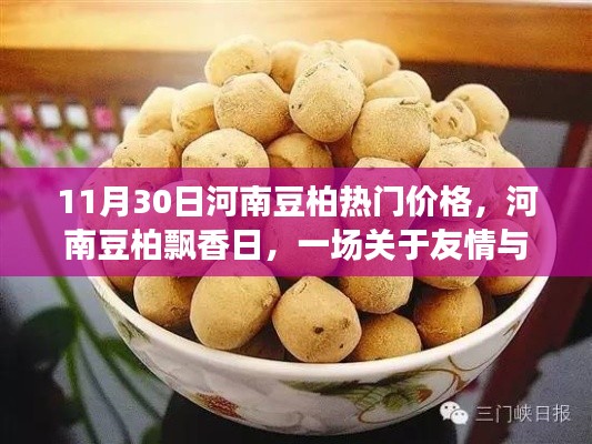 河南豆柏飘香日,友情与温馨价格的奇妙旅程