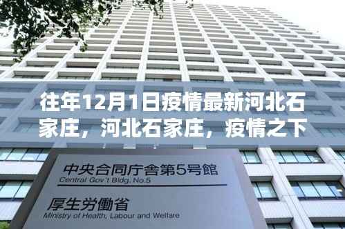 关于我们 第286页