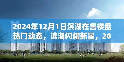 滨湖闪耀新星,2024年12月热门楼盘深度测评与动态概览